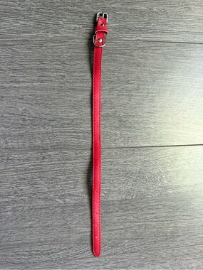 Red leather small dog leash and collar set.featuring 
Silver and rhinestones.